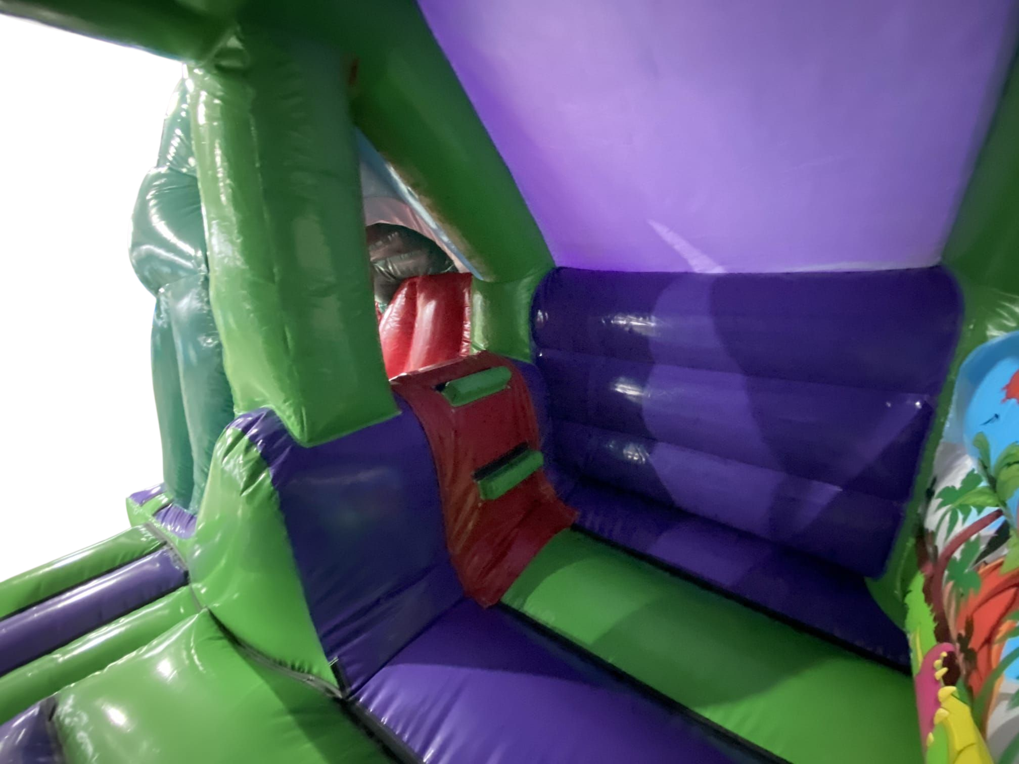 Dino Slide Castle Image 5