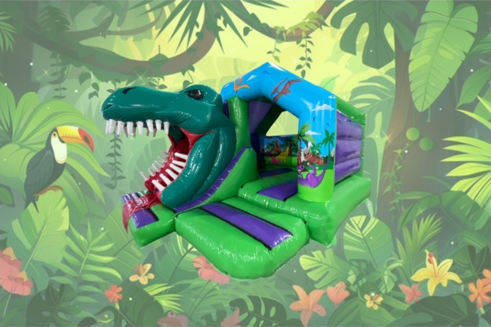 Dino Slide Castle
