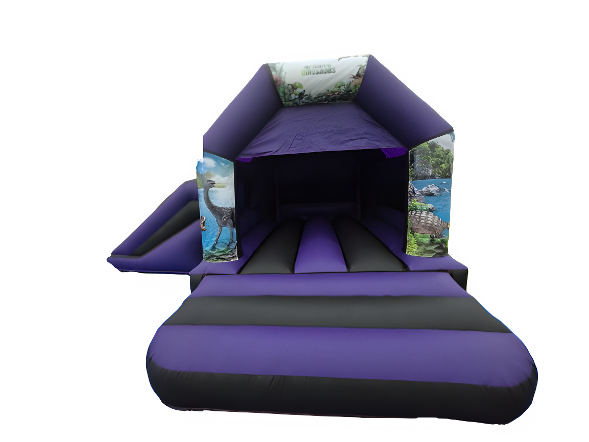 Slide Castle Image 4